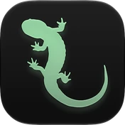 Lizard icon